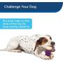 PetSafe Busy Buddy Nobbly Nubbly Treat Holding Dog Toy – Strong Chewers – Extra Small, Small, Medium, Large