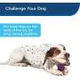 PetSafe Busy Buddy Nobbly Nubbly Treat Holding Dog Toy – Strong Chewers – Extra Small, Small, Medium, Large