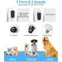 Peteast Dog Nail Grinder, Upgraded LED Lighting 2-Speed Nail Clippers USB Powerful Electric Nail Trimmer Paws Grooming Trimming for S/M/L Dogs Pets, 2 Grinding Wheels & Storage Bag