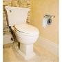 Ingenuitstore Toilet Paper Holder Wall Mount For Bathroom (Silver)