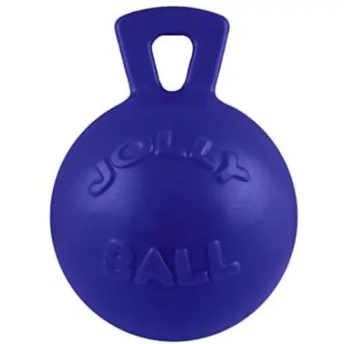 Jolly Pets Tug-N-Toss Dog Toy Ball with Handle