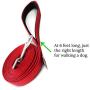 Dutchy Brand Heavy-Duty Dog Leash - Training-Lead with Comfortable Handle - 6 Feet Long by 1 Inch Wide - Perfect Length to Control Strong Dog and Puppy That Likes to Pull