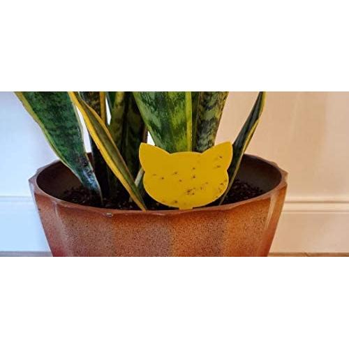 ALLRoad Yellow Sticky Trap Fruit Fly Insect Trap Fungus Gnat Killer for Indoor and Outdoor Plant Insect Catcher for White Flies,Mosquitoes,Fungus Gnats,Flying Insects (12 pcs)