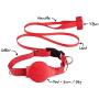 Himalayan Pet Supply Doddle | Retractable Leash and Collar in One | Fear Free | X-Small | 11-12" Neck, Red (551016)