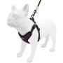 Voyager Step-In Flex Dog Harness - All Weather Mesh, Step In Adjustable Harness for Small and Medium Dogs by Best Pet Supplies