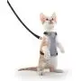 AVCCAVA Kitten Harness with Leash for Walking, Escape Proof Soft Cat Harnesses Easy Adjustable Vest Breathable Pet Safety Jacket with 1 Reflective Towing Leash AVCCAVA Kitten Harness with Leash for Walking, Escape Proof Soft Cat Harnesses Easy Adjustable Vest Breathable Pet Safety Jacket with 1 Reflective Towing Leash