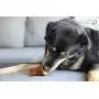 K9 Connoisseur Single Ingredient Dog Bones Made in USA Natural Marrow Filled Bone Chew Treats for Small Medium Breed Aggressive Chewers Dogs Who Struggle with Boredom Best Up to 50 Pounds K9 Connoisseur Single Ingredient Dog Bones Made in USA Natural Marrow Filled Bone Chew Treats for Small Medium Breed Aggressive Chewers Dogs Who Struggle with Boredom Best Up to 50 Pounds
