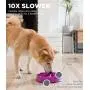 Outward Hound Fun Feeder Dog Bowl Outward Hound Fun Feeder Dog Bowl