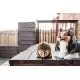 Outward Hound Hedgehogz Squeaky Dog Toy – Cuddly Soft Toy for Dogs - Durable Plush Fluffy Toy for Awesome Pets