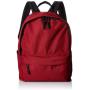 AmazonBasics Classic School Backpack - Red