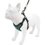 Voyager Step-In Flex Dog Harness - All Weather Mesh, Step In Adjustable Harness for Small and Medium Dogs by Best Pet Supplies