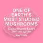 Host Defense, Turkey Tail, 60 Capsules, Natural Immune System and Digestive Support, Daily Mushroom Mycelium Supplement, USDA Organic, 30 Servings