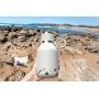 asobu Dog Bowl Attached to Stainless Steel Insulated Bottle 1 Liter