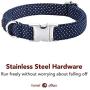 Lionet Paws Dog and Cat Collar with Bowtie,Soft and Comfortable,Adjustable Collar