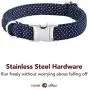 Lionet Paws Dog and Cat Collar with Bowtie,Soft and Comfortable,Adjustable Collar