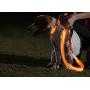 Illumiseen LED Dog Leash - USB Rechargeable - Available in 6 Colors & 2 Sizes - Makes Your Dog Visible, Safe & Seen