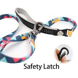 PetHomli 5 Ft Anti-Off Hook Dog Leash Strong Durable Polyester Dog Training Leash for Small Medium Large Dogs