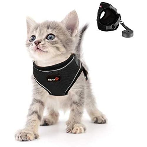 Kamots Beauty Escape Proof Cat Dog Harness and Leash Adjustable Soft Mesh Pet Vest with Reflective Strap for Puppy Kitten Small Pet Walking