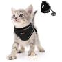 Kamots Beauty Escape Proof Cat Dog Harness and Leash Adjustable Soft Mesh Pet Vest with Reflective Strap for Puppy Kitten Small Pet Walking