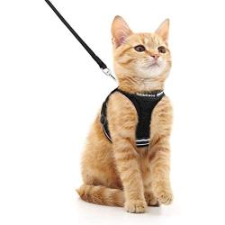 rabbitgoo Cat Harness and Leash Set for Walking Escape Proof, Adjustable Soft Kittens Vest with Reflective Strip for Extra Small and Small Cats, Step-in Comfortable Outdoor Vest