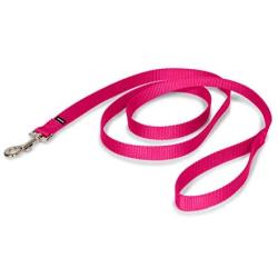 PetSafe Nylon Dog Leash, Strong, Durable, Traditional Style Leash with Easy to Use Bolt Snap - Available in Multiple Widths and Colors