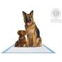 American Kennel Club Pet Training and Puppy Pads, Regular and Extra Large