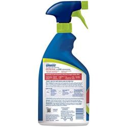 Woolite INSTAclean Permanent Stain Remover, 22oz (Pack of 2), 21799