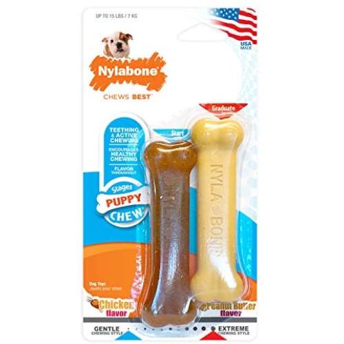 Nylabone Puppy Chew & Dura Chew Peanut Butter Bone Twin Pack Dog Toy