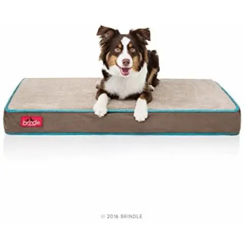 Brindle Waterproof Designer Memory Foam Pet Bed Brindle Waterproof Designer Memory Foam Pet Bed