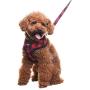 PUPTECK Soft Mesh Dog Harness with Leash - Plaid Adjustable Puppy No Pull Harnesses - Pet Padded Walking Vest