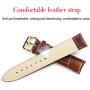 Men Women Wrist Watch Brown Leather-OLEVS Casual Classic Number Easy Reader Analog Quartz Dress Waterproof 3ATM Wristwatch