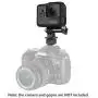 Neewer Phone Holder Camera Hot Shoe Mount Adapter Kit for GoPro Hero 7 6 5,DJI OSMO Action,iPhone X 8 7 6 Samsung Attaching on DSLR Camera or Ring Light Photography