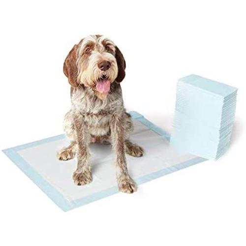 AmazonBasics Dog and Puppy Potty Training Pads, Regular Absorbency