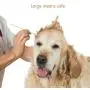 GLADOG 6 Inch Professional Large Cotton Buds for Dogs, Specially Designed Dog Cotton Buds with Wood Handle, Large Means Safe GLADOG 6 Inch Professional Large Cotton Buds for Dogs, Specially Designed Dog Cotton Buds with Wood Handle, Large Means Safe