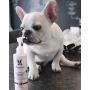 Warren London Hydrating Butter Leave-in Conditioner for Dogs Skin and Coat - Guava & Mango - 1gal