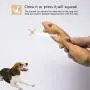 Petper Dog Latex Toy with Squeaker, Interactive Toy for Puppy Playing & Training Petper Dog Latex Toy with Squeaker, Interactive Toy for Puppy Playing & Training