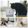 Cat Water Fountain Stainless Steel, 81oz/2.4L Intelligent Auto Power Off Pump with LED Light, Pet Fountain, Cat Water Dispenser with 3 Filters, 1 Mat and 2 Cleaning Brushes, Water Level Window