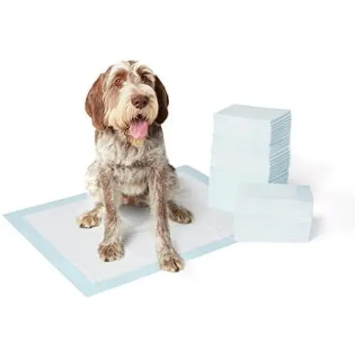 AmazonBasics Dog and Puppy Potty Training Pads, Regular Absorbency AmazonBasics Dog and Puppy Potty Training Pads, Regular Absorbency