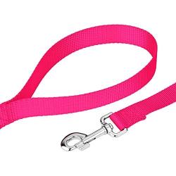 Country Brook Design - Vibrant 25 Color Selection - 1 Inch Nylon Dog Leash