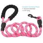 BAAPET 2 Packs 5 FT Strong Dog Leash with Comfortable Padded Handle and Highly Reflective Threads Dog Leashes for Medium and Large Dogs