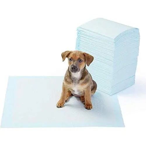 AmazonBasics Dog and Puppy Potty Training Pads, Regular Absorbency AmazonBasics Dog and Puppy Potty Training Pads, Regular Absorbency