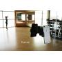 Livestream Gear - Suction Cup Phone Mount for Streaming, Video, or Photos. Great for WOD; Fitness Streams at Home, or Gym. (Suction Cup Mount)
