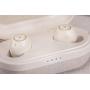 LYPERTEK TEVI - True Wireless Earbuds, Bluetooth 5.0 Stereo Hi-Fi Sound Wireless Earphones, IPX7 Waterproof, Upto 70 Hours Playtime, in-Ear Bluetooth Earphones with Charging Case (Ivory)
