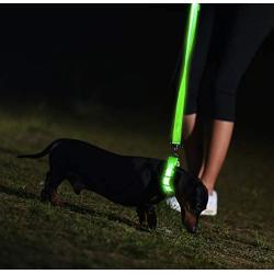 Illumiseen LED Dog Collar - USB Rechargeable - Available in 6 Colors & 6 Sizes - Makes Your Dog Visible, Safe & Seen