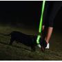 Illumiseen LED Dog Collar - USB Rechargeable - Available in 6 Colors & 6 Sizes - Makes Your Dog Visible, Safe & Seen