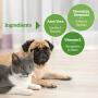 Pogis Grooming Wipes - Hypoallergenic Pet Wipes for Dogs & Cats - Plant-Based, Earth-Friendly, Deodorizing Dog Wipes