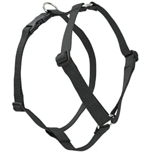 Lupine 1/2&quot Black Roman Dog Harness
