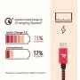 RAMPOW Short USB C Cable 0.65ft, 3A Fast Charging USB Cable C, Braided USB Type C Charger Compatible Samsung Galaxy S20/S10/S9/S8/Galaxy Note 9, LG V20/G5/G6, Sony and More - Red