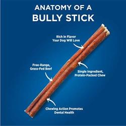 Barkworthies Odor-Free Bully Sticks - Healthy Dog Chews - Protein-Packed, Highly Digestible, All-Natural Rawhide Alternative Dog Treats - Promotes Dental Health