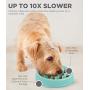 Outward Hound Fun Feeder Dog Bowl Outward Hound Fun Feeder Dog Bowl